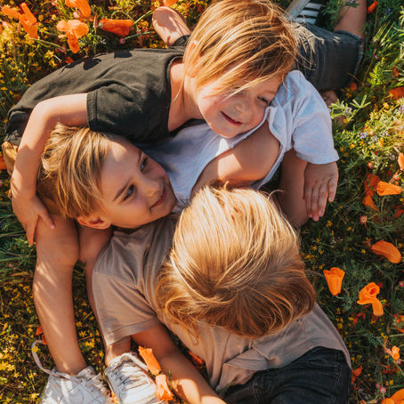 おうち時間④ 折り紙で動物を作る