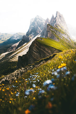 Image by Daniela Kokina