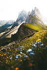 Image by Daniela Kokina