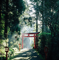 Image by Syuhei Inoue