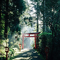 Image by Syuhei Inoue