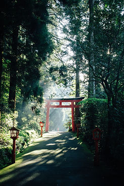 Image de Syuhei Inoue