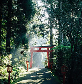 Discover a destination where centuries-old temples, quiet countryside, cutting-edge cities, and seasonal beauty exist side by side. From cherry blossoms and autumn foliage to world-class cuisine and efficient city adventures, Japan offers a journey that feels both refined and unforgettable.