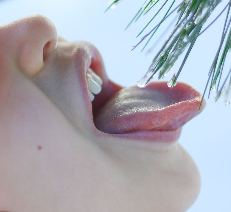 Image by Abeer Zaki