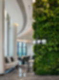 Faux greenery wall for place