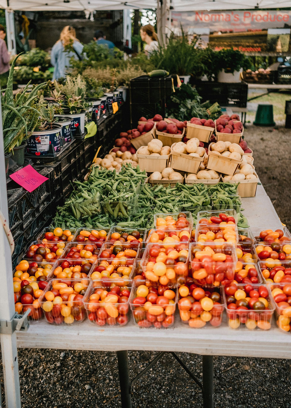 Eye-level view of a farmer's market stall with GMO crops