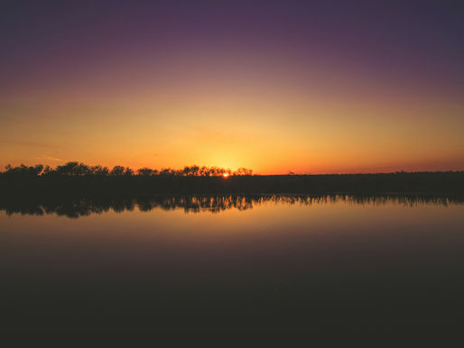 Florida Everglades