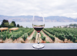 Cottonwood AZ vineyard