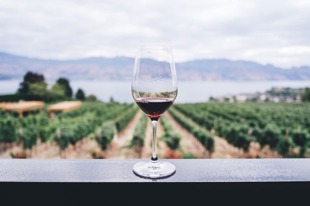 Wine a Little, Laugh a Lot: The Secret to Perfect Pairings with Your Private Sommelier
