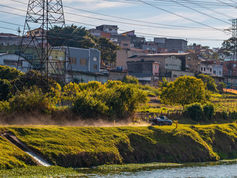 Planting against hunger in favelas