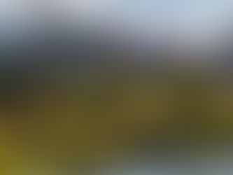 Planting against hunger in favelas