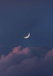 Image by Vino Li