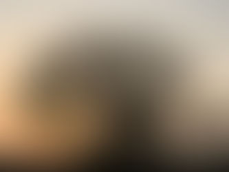 Come Perch in its Branches!