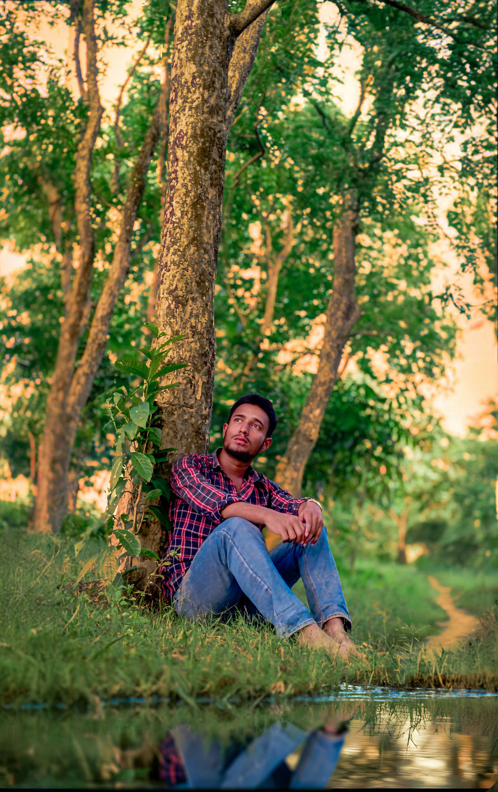 Person sitting beneath a tree in a sunlit wooded area, relaxing with their knees drawn up and surrounded by greenery.
