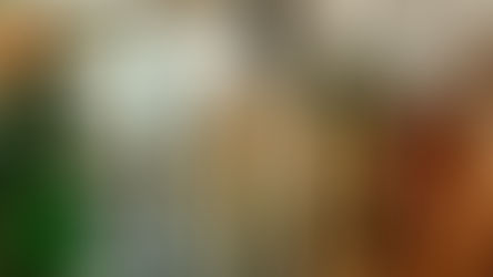 A glass of Sparkling Wine