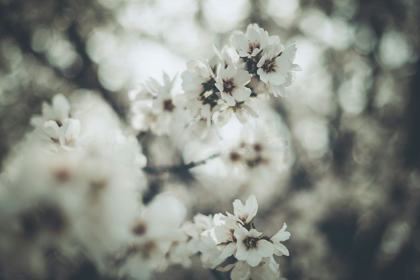 Image by Tim Mossholder