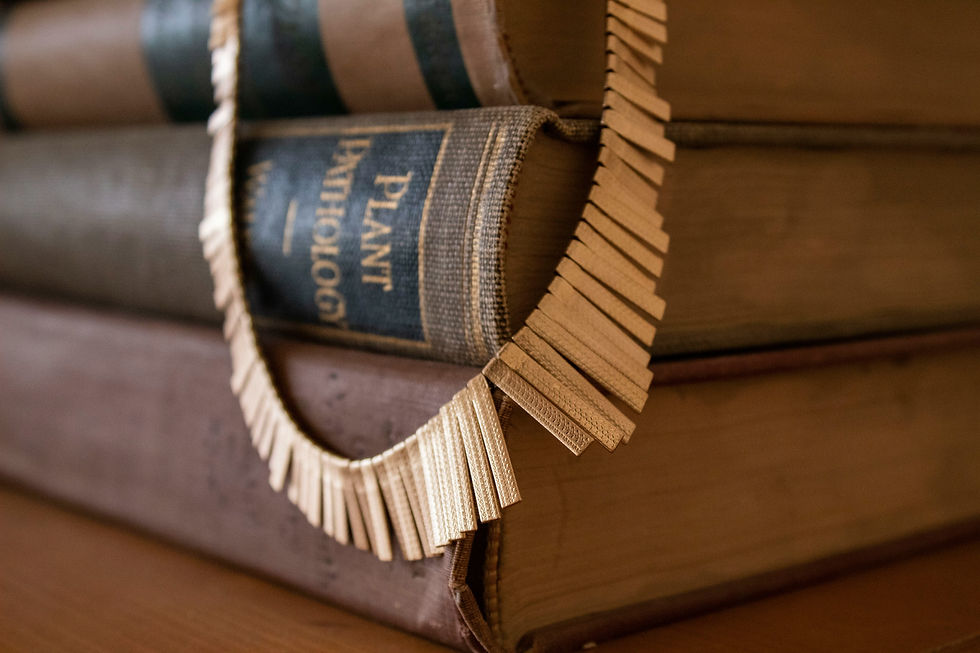 A personal injury attorney in Cary, North Carolina, consults with a client in a private office, reviewing accident reports and outlining legal steps.