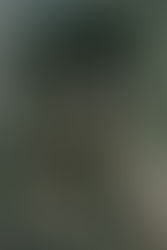 Stone sculpture of two intertwined figures embracing, with textured, weathered surfaces, set against a forested background. Their expressions suggest deep emotion.