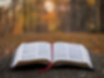Stroud Green Christian Assembly Bible Study