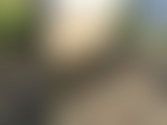 shingle, shingle roofing, shingles on roof, shingle option, roofing, roofer, roofing contractor, craig gouker roofing