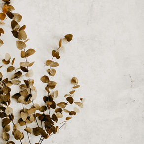 Easy Home Swaps for Health & Fertility