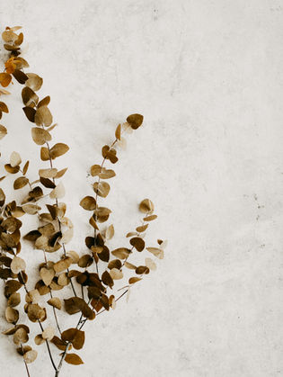 Plant leaves on a neutral background.