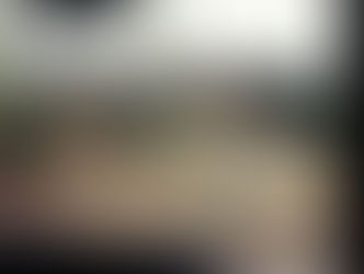 Cars drive on a multi-lane bridge road, surrounded by evergreen trees. Overcast sky with a green sign for Jackson Ave, 6th Ave, East, and Downtown.