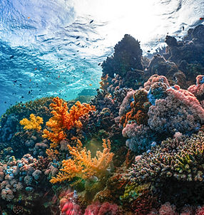 Image by NEOM