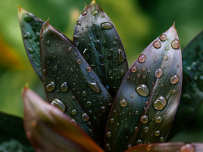 התחדשות וניקיון פסח גם במשפחה...
