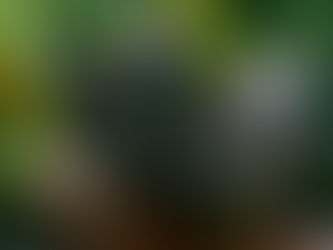 התחדשות וניקיון פסח גם במשפחה...