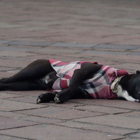 Why Late Winter Leaves You Feeling Off