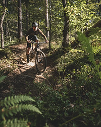 Image by Tadeja Pavšič