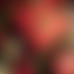 Christmas Gifts for Neighbors: 10 Ideas for Last-minute Gifts