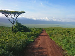 safari en tanzanie petit groupe