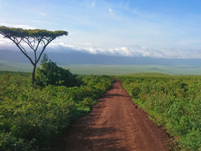 Tanzania Travel Tips