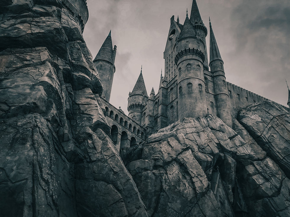 Image by Thalia Ruiz