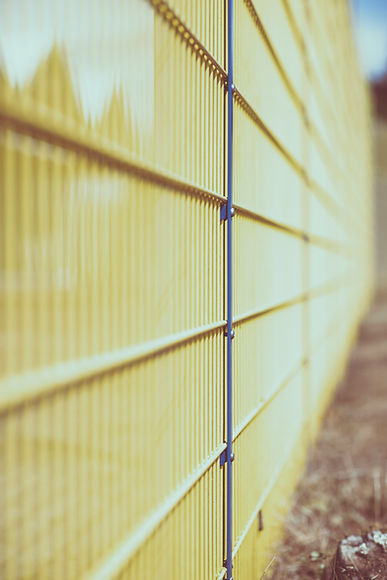 Image by Markus Spiske