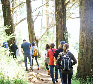 Image by Kitera Dent