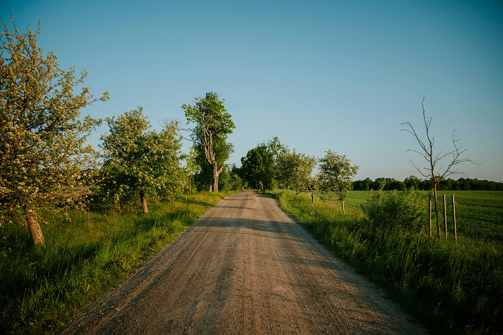 Funding boost approved for road repairs as spring thaw batters Brock’s gravel roads 