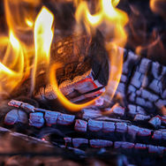 When green slowly turns dark green