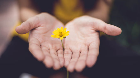 The Search for Meaning