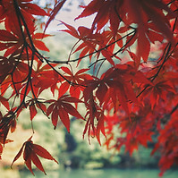 Image by Yeh Xintong