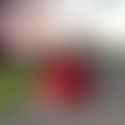 The Best is Yet to Come