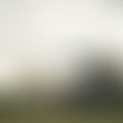 safari en famille en tanzanie avec guide francophone