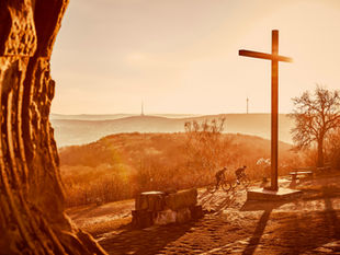 Pastor's Reflection - February 1, 2026