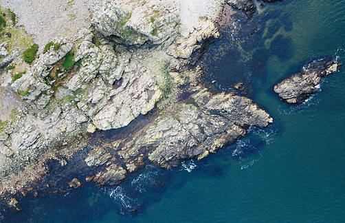 Image by Daniel Norin