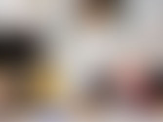 Dr. Simon Harald Baier 변호사, 오스트리아