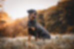Kevin Seibel, Unsplash