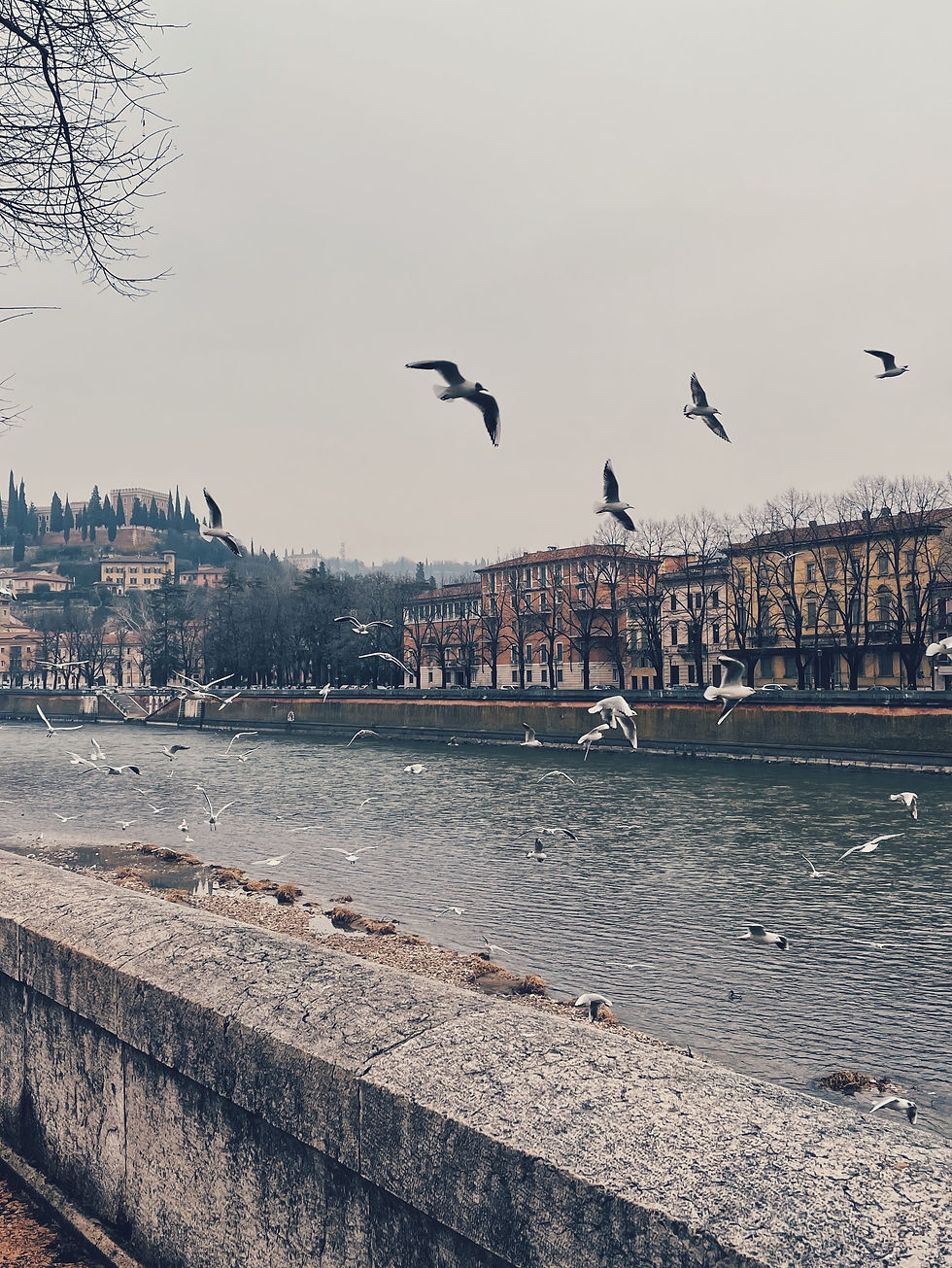 Image by Michael Martinelli