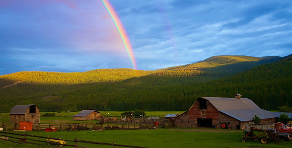 Image by Ryan Milrad
